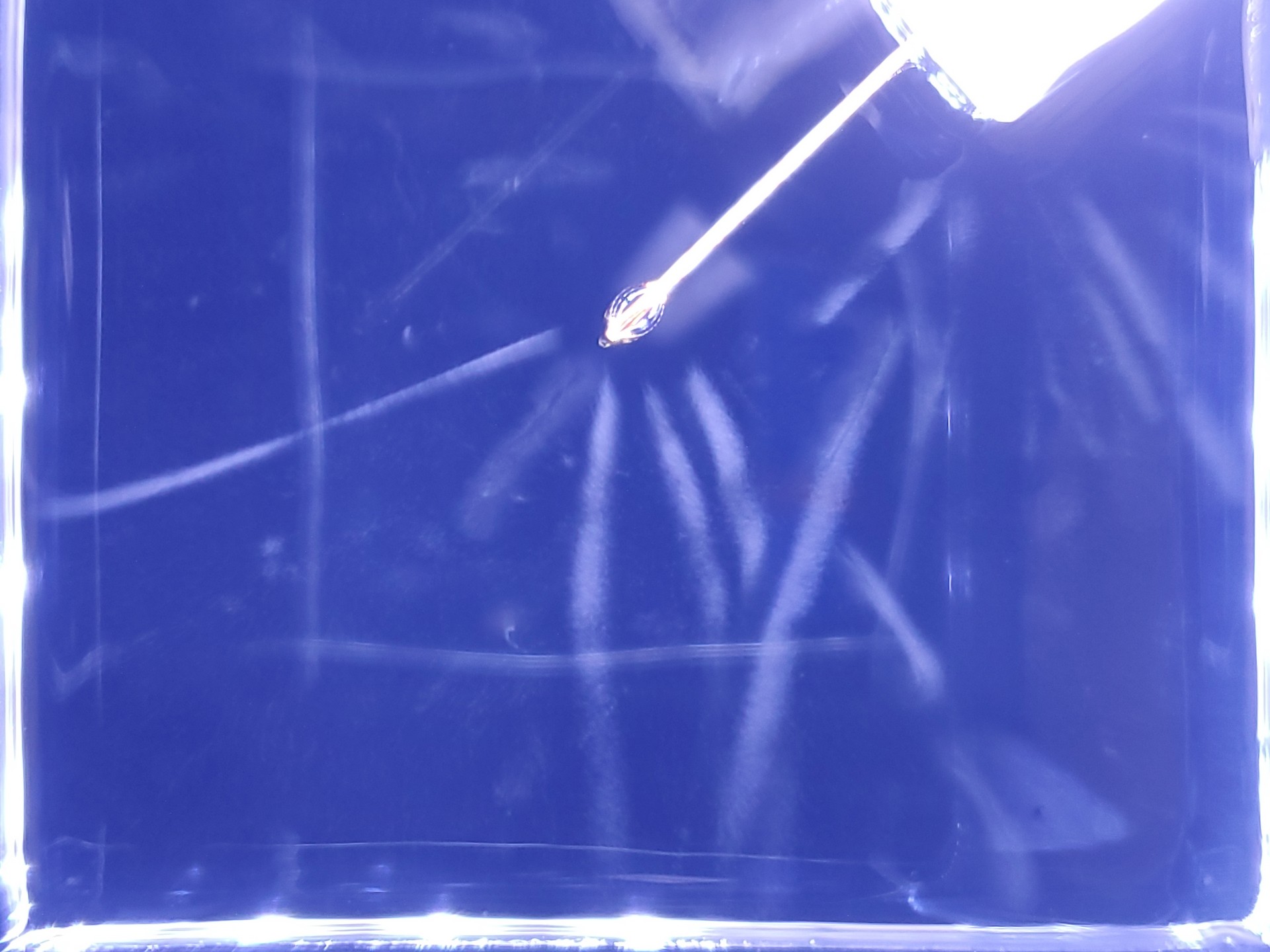 20221128_182023.jpg